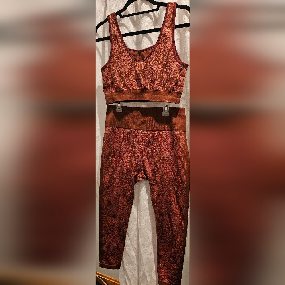 Fabletics large workout pants and sports pro